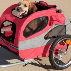 PetSafe Accès Et Mobilité<Remorque De V Lo