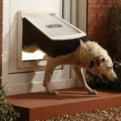 PetSafe Chiens Moyens<Staywell® Porte Pour Animaux D'Origine 2 Positions