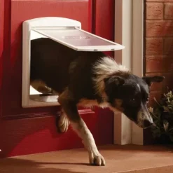 PetSafe Chats<Staywell® Porte Pour Animaux D'Origine 2 Positions