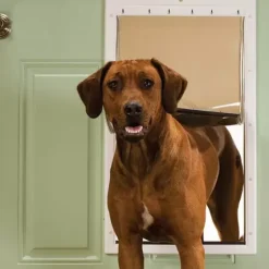 PetSafe Portes Et Chatières<Staywell® S Rie 600 & Porte Pour Animaux Pour Conditions Climatiques Extr Mes Battant De Rechange