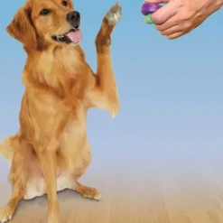 PetSafe Clickers<T L Commande De Dressage Clik-R
