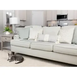 PetSafe Systèmes De Contournement<Tapis D'Entra Nement D'Int Rieur Scatmat