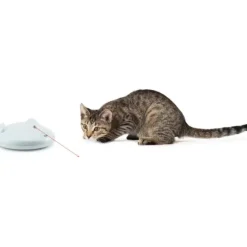 PetSafe Jouets Pour Chats<Zip Laser Automatique