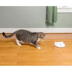 PetSafe Jouets Pour Chats<Zip Laser Automatique